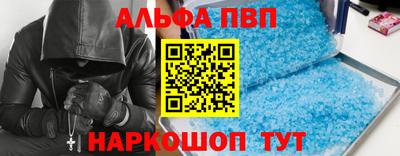 спиды Кингисепп
