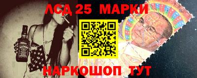 молекула духа Камышлов