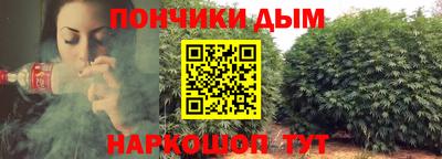 молекула духа Камышлов