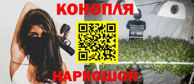 молекула духа Камышлов