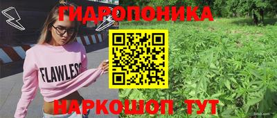 винт Канаш