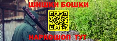 молекула духа Камышлов