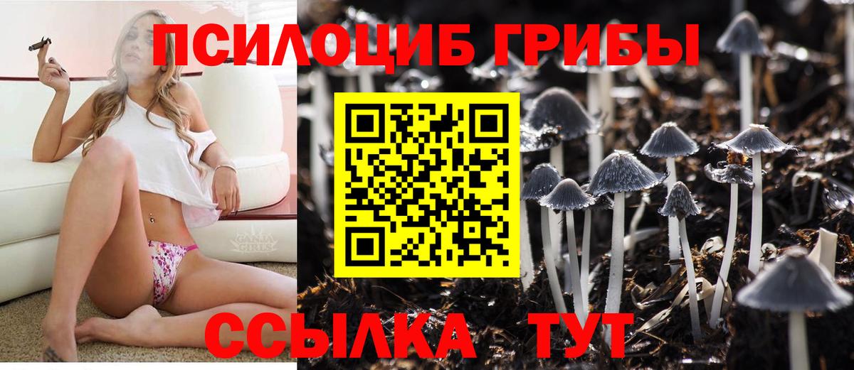 Кудымкар  Псилоцибиновые грибы GOLDEN TEACHER  закладки  Вход с VPN 